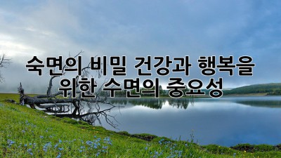숙면의 비밀: 건강과 행복을 위한 수면의 중요성