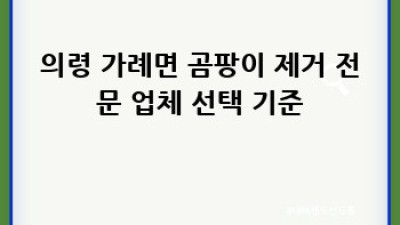 의령 가례면 곰팡이 제거 전문 청소 서비스